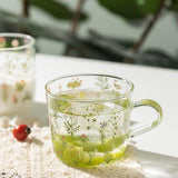 Botanica Sklenice