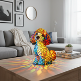 Okouzlující šarm pudla